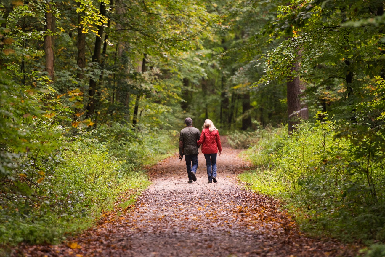 Coaching in de natuur, wandelend door het bos
